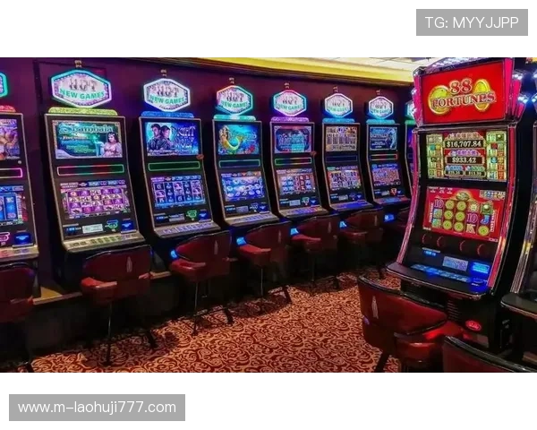 稳定安全的老虎机网站登录入口，开启你的精彩游戏之旅